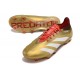 Adidas 2024 Predator Elite FG Dorado Blanco Rojo