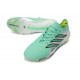 Zapatos de Fútbol Adidas Predator Elite FG Verde Plateada