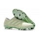 Zapatos de fútbol Adidas Nemeziz 17+ 360 Agility FG Verde