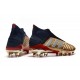 Zapatillas de Fútbol adidas Predator 19+ FG Oro Argento