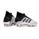 Zapatillas de Fútbol adidas Predator 19+ FG Argento Negro