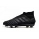 Botas de fútbol adidas Predator 19.1 FG Negro