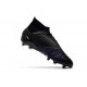 Botas de fútbol adidas Predator 19.1 FG Negro