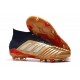 Botas de fútbol adidas Predator 19.1 FG Oro Plata