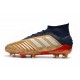 Botas de fútbol adidas Predator 19.1 FG Oro Plata
