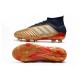 Botas de fútbol adidas Predator 19.1 FG Oro Plata