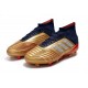 Botas de fútbol adidas Predator 19.1 FG Oro Plata