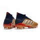 Botas de fútbol adidas Predator 19.1 FG Oro Plata
