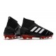 Botas de fútbol adidas Predator 19.1 FG Negro